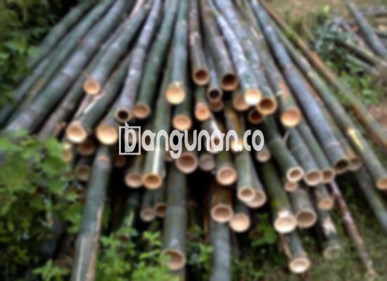 Jual Bambu Steger di Baktijaya Depok [Terdekat]