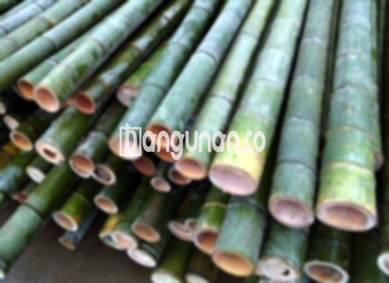 Jual Bambu Steger di Bantul [Terdekat]
