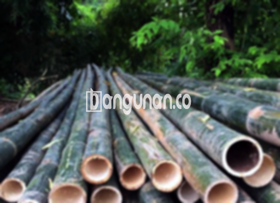 Jual Bambu Steger di Ancol Jakarta [Terdekat]