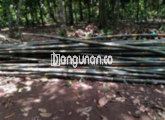 Jual Bambu Steger di Benda Tangerang [Terdekat]