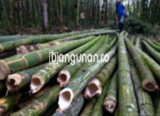 Jual Bambu Steger di Bantarjati Bogor [Terdekat]